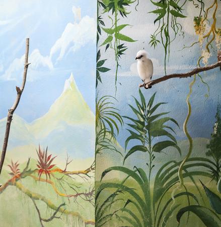 Balinese Starling and Mountain