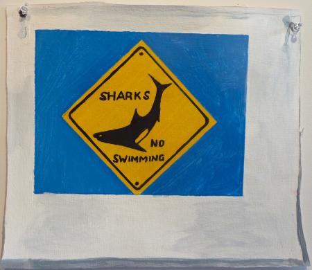 Shark (No Swimming)