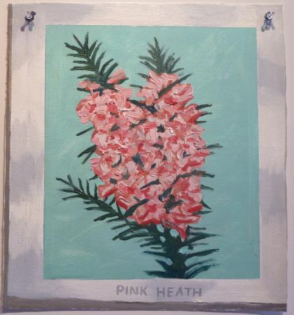Pink Heath